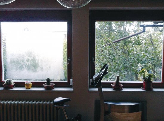 Pohľad na okná s termoizolačným trojsklom v zabývanej stavbe s obvyklou vlhkosťou, leto 2015 ráno. Zatiaľ čo okno vľavo, ktoré zvonku &bdquo;mieri&rdquo; do voľného priestoru, je na vonkajšej strane orosené (s výnimkou miest priľahlých k rámu krídla a pod nadpražím), susediace okno je celkom suché. Dôvodom je strom, ktorý cloní chladné sálanie nočnej a rannej oblohy.