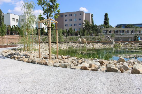 Vodopriepustný betón na chodníkoch v parku v spojení s jazierkami, je jedným z efektívnych prostriedkov znižovania efektu mestského ostrova. (Zdroj: ZAPA betón, a. s.)
