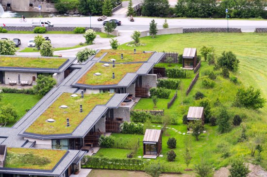 Zelené strechy prispievajú k tepelnej stabilite budov
