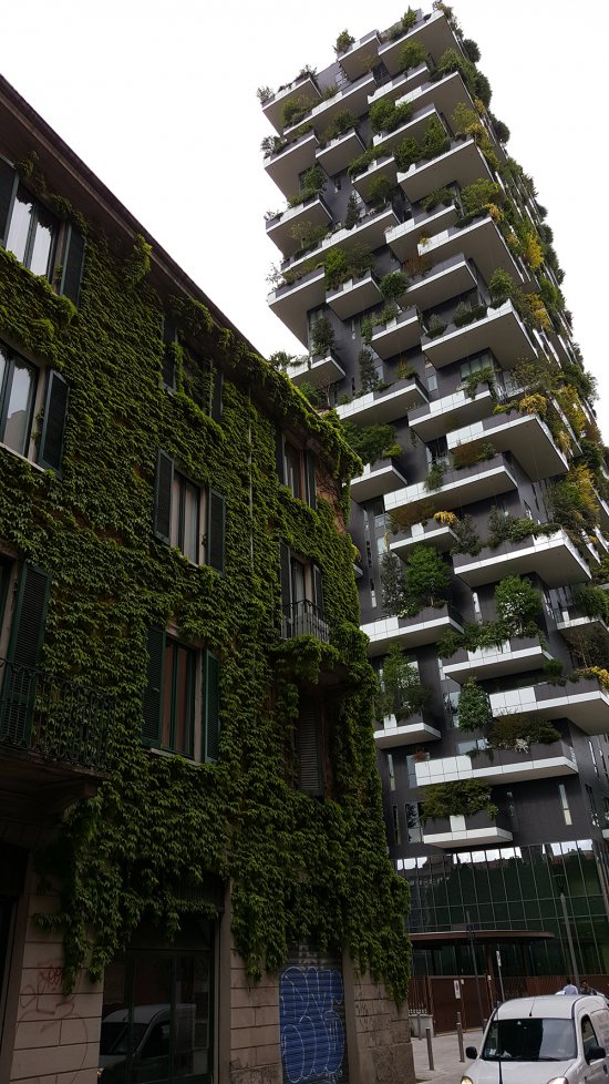 Obidve veže sú teraz dominantou milánskej štvrti Giardini di Porta Nuova. (autor: Miroslava Vaňharová)