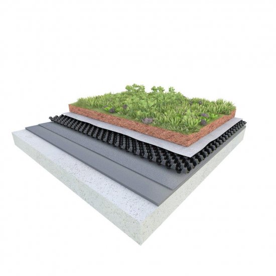Zelená strecha extenzívna - 3D rez skladbou