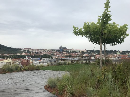 Praha chce šetrnejšie hospodáriť s dažďovou a odpadovou vodou, podporovať zelené strechy alebo sadiť stromy.