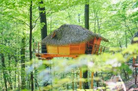 Netradičné ubytovanie...prenocujte v sude, vagóne alebo dokonca na strome! Hotel vám tento zážitok neposkytne