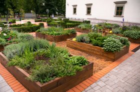 Komunitné záhrady ako prostriedok k väčšej samostatnosti, ekologickosti  a upevňovania susedských vzťahov