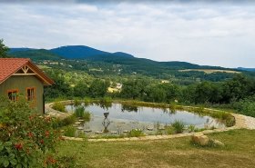 Bazén alebo kúpacie jazierko, čo sa bude viac hodiť do vašej záhrady?