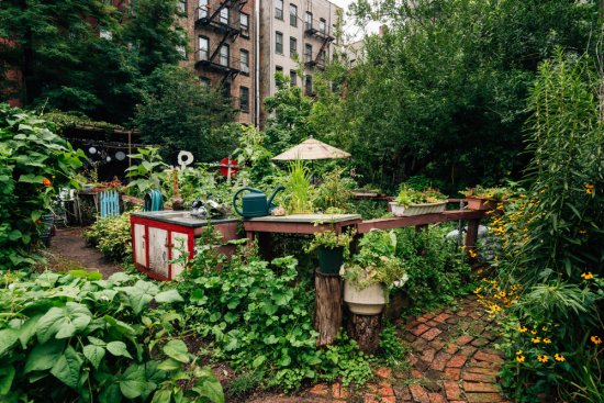 Aj uprostred rušného Manhattanu, New York City si ľudia vybudovali svoju malú zelenú oázu. Zdroj:Jon Bilous, shutterstock