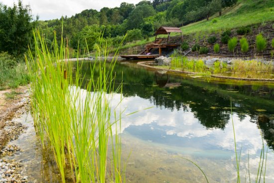 Miesto pre vybudovanie jazierka musí byť dôkladne vybrané, rovnako tak aj rastliny, ryby či rozmer vodnej plochy. Zdroj: josefkubes, shutterstock