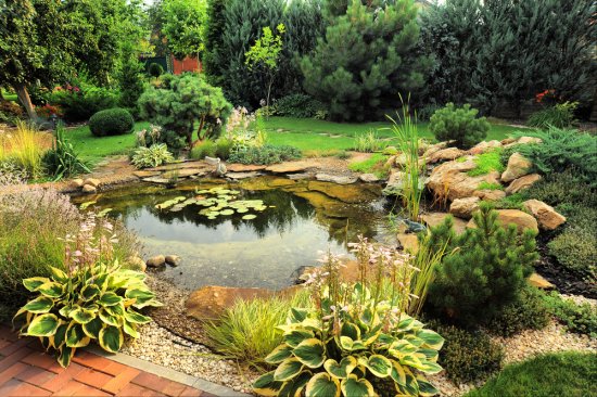 Aj malá vodná plocha ozvláštni záhradu. Možno ju ozdobiť rôznymi kameňmi či osádzať vodnými rastlinami. Zdroj: WhiteYura, shutterstock