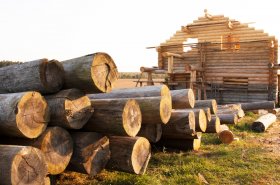 Ako vybrať drevostavbu