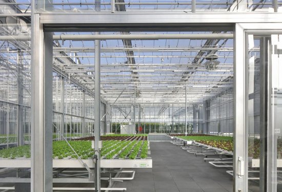 Na streche miestnej tržnice je vytvorený obrovský skleník s rozlohou 9 500 m2. Foto: Filip Dujardin