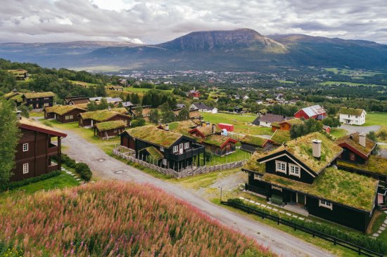 V Nórsku sú zelené strechy veľmi rozšírené aj čo sa týka celých obcí. Zdroj: Giedrius Akelis, shutterstock