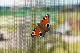 Ako zmierniť sezónne alergie? Pomôcť vám môžu aj sieťky do okien