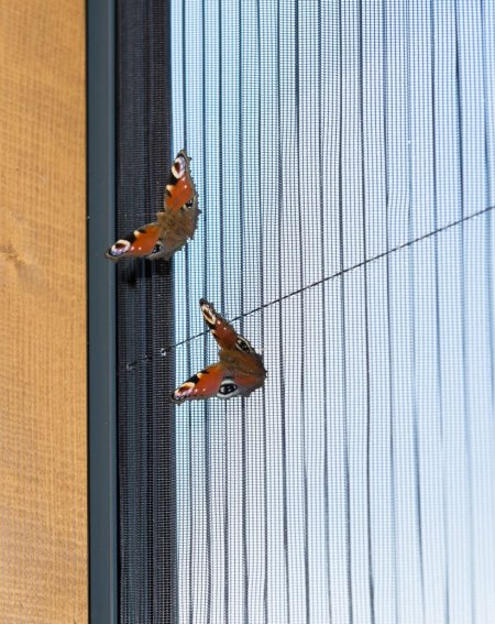 Sieťky sú vyrobené zo skleného vlákna potiahnutého PVC vrstvou. Sú teda veľmi kvalitné a vydržia skutočne dlho. Foto: BUILDING Shutter Systems