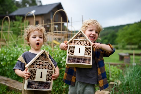 Môžete so svojimi deťmi vytvoriť útočisko pre užitočný hmyz napríklad v podobe hmyzieho domčeku. Zdroj: Ground Picture