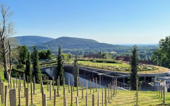 Jeden z finalistov – Park nad bývalým vodojemom Devín
Zdroj: Asociácia pre zelené strechy a zelenú infraštruktúru