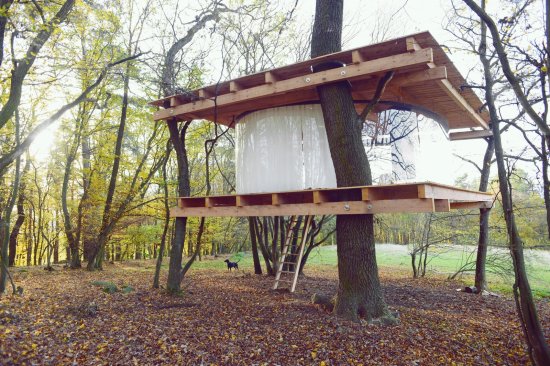 Tree House / Jan Tyrpekl