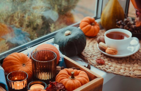 Myšlienkový reťazec jeseň-Halloween-tekvica sa v našich končinách zatiaľ ešte naplno nezabýval, ale tekvicové dekorácie sú a vždy populárne aj budú. Zdroj: Okrasiuk, shutterstock