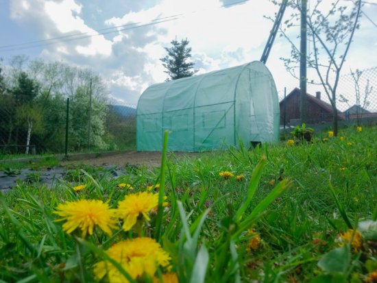 Zelený záhradný tunel. Foto: gardenway.sk