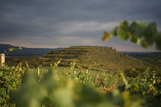 Pokiaľ sa vám za pyramídami nechce až do Mexika, môžete vyraziť na južnú Moravu – v Dolných Dunajoviciach sa nachádza "pyramída" Slnečná, ktorá z diaľky pripomína stupňovitú pyramídu dávnych Mayov. Jej tvar bol však vymodelovaný traktorom. Zdroj: Centrála cestovného ruchu – Južná Morava, z.s.p.o.