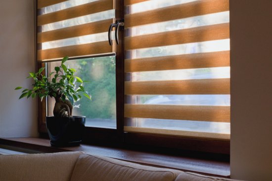 Foto: Tunatura, shutterstock