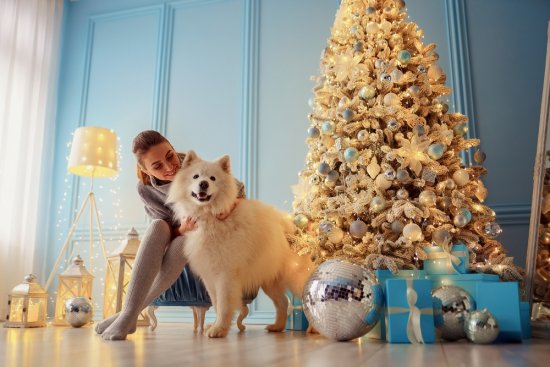 Pokiaľ chcete zmenu, skúste tento rok vianočný stromček ladiť do modrej. Zdroj: SOK Studio, shutterstock