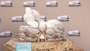 Keď sa stavba mení na umenie. Slovenské finále súťaže Modelium 2026 vyhrali Košice