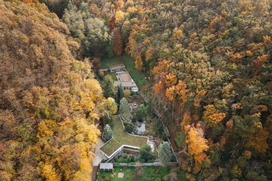 Výhodou pôvodne záhradného pozemku je dostatok súkromia uprostred statných stromov a stabilizovanej zelene. Foto: Matej Hakár