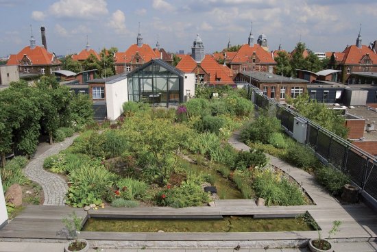 Zelené strechy sú v zahraničí už bežnou súčasťou modernej výstavby a stále častejšie sa presadzujú aj v Česku – na rodinných domoch aj bytových stavbách. Foto: Optigrün international AG, www.optigruen.sk