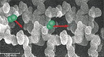 Obr. 4:Obrázok z elektrónového mikroskopu na štruktúru pyrogénnej kyseliny kremičitej pripomínajúcej priestorovú sieť. Primaľované dvojatómové molekuly plynu ilustrujú veľkosť púrov 70 nm v tomto materiáli.