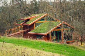 Zelené strechy – miesto škridiel tráva. Brno sa môže stať inšpiráciou pre ostatné mestá