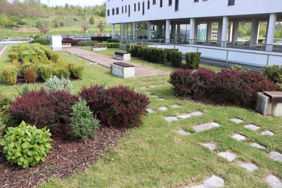 Zelená strecha vo Fakultnej nemocnici v Plzni, ktorá získala tohtoročnú cenu verejnosti v súťaži Zelená strecha roku 
