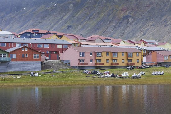 Farebné domy a zelené polia  s arktickými kvetinami, všetko na pozadí dramatickej oblohy a pustej hory v Longyearbyenu, súostrovie Špicbergy, Nórsko, 78. rovnobežka s. š. Svetlé farby okrem toho, že vytvárajú pozitívnu atmosféru, tu plnia rovnakú funkciu, ako v ostatných ilustráciách tohto článku. Foto: Shutterstock