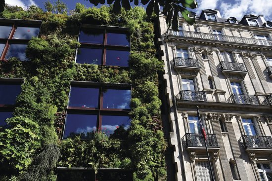 Hydroponická vertikálna záhrada parížskeho múzea Quai Branly - Jacques Chirac s dĺžkou 200 metrov a výškou 12 metrov je realizáciou botanika Patricka Blanca. (Foto Pack-Shot, Shutterstock)