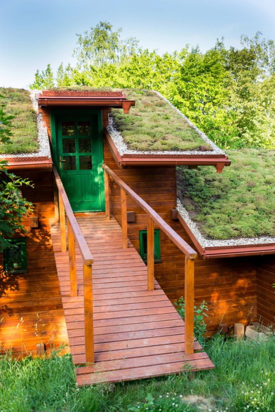 Zelené strechy majú veľa výhod. Je však potrebné počítať s vyššou cenou. Foto: josefkubes