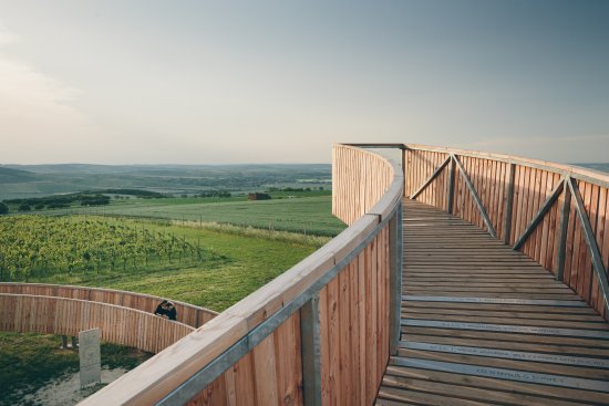 Chodník nad vinohradmi bol vybudovaný v roku 2018 na Kobylím vrchu, medzi miestnymi nazývaným ako Homole. Je to vinicami vykladaný kopec s pozvoľným sklonom a rovinatým vrcholom a súčasne najvyšší bod v širokom okolí.