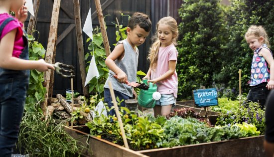 Komunitné záhrady môžu plniť aj edukatívnu funkciu. Záhradníkmi sa môžu tak stať napríklad deti z materských škôl. Foto: Rawpixel.com